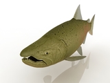 3d модель - Рыба