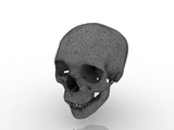 3d модель - череп