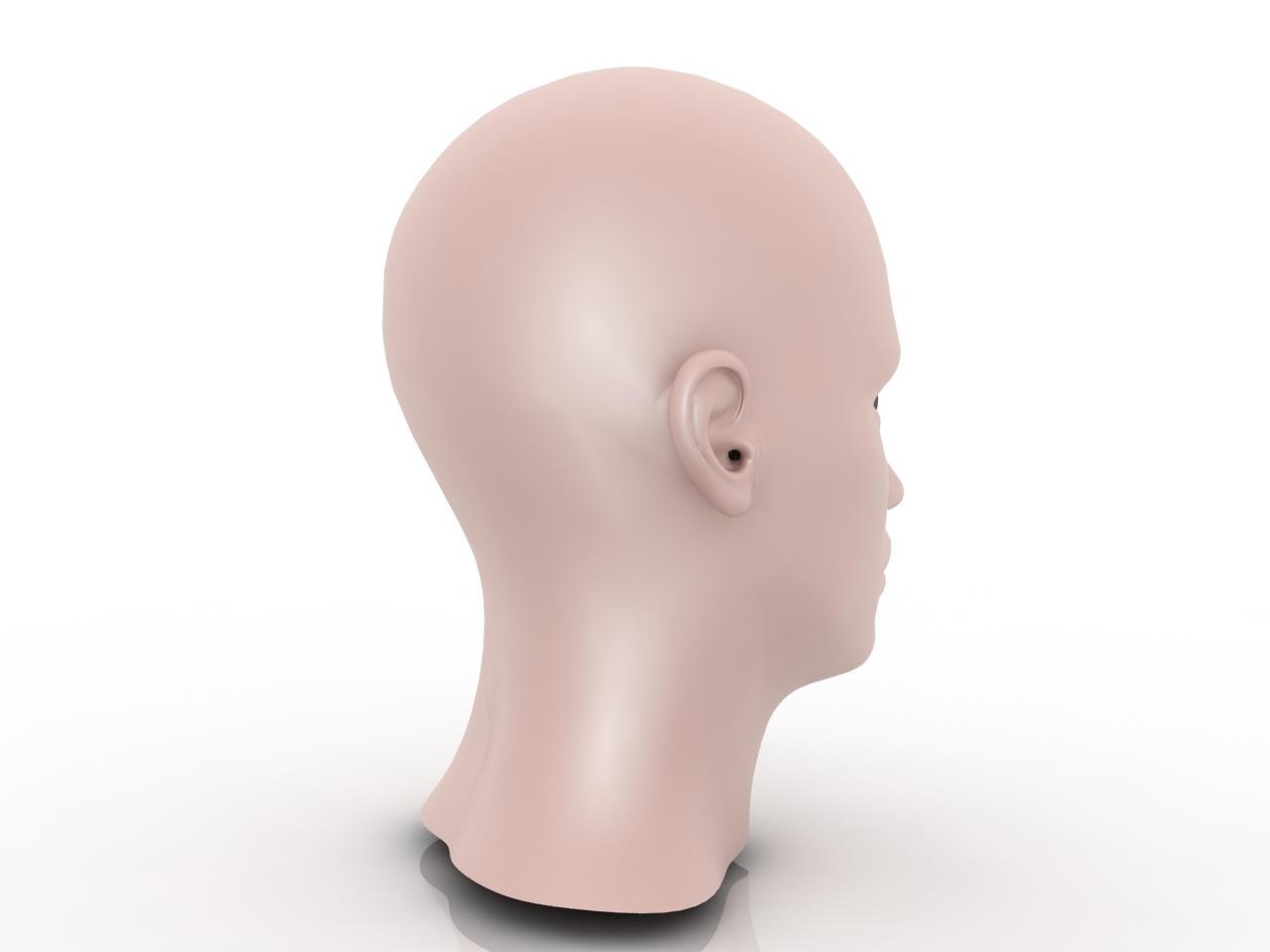 3D модели - Голова