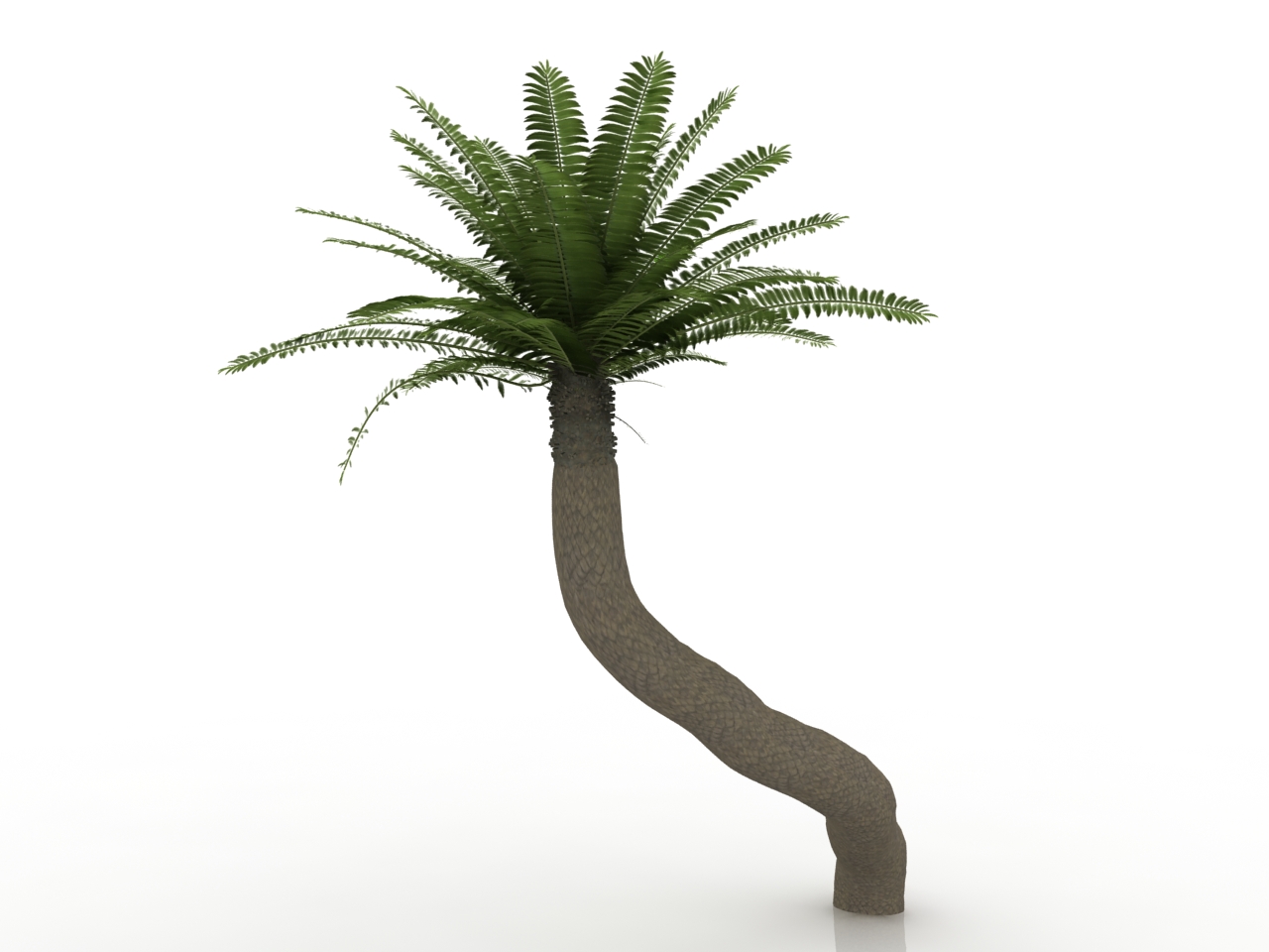 3D модели - Пальма