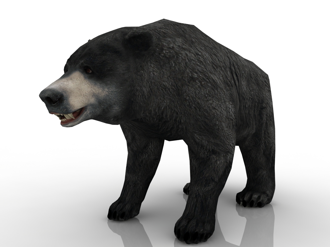 3D модели - Медведь