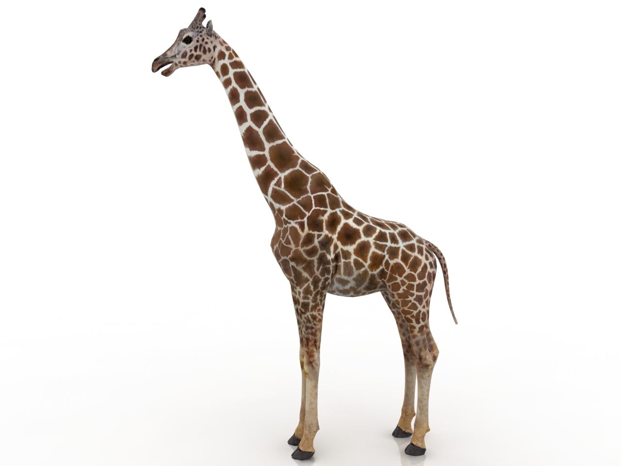 3D модели - Жираф