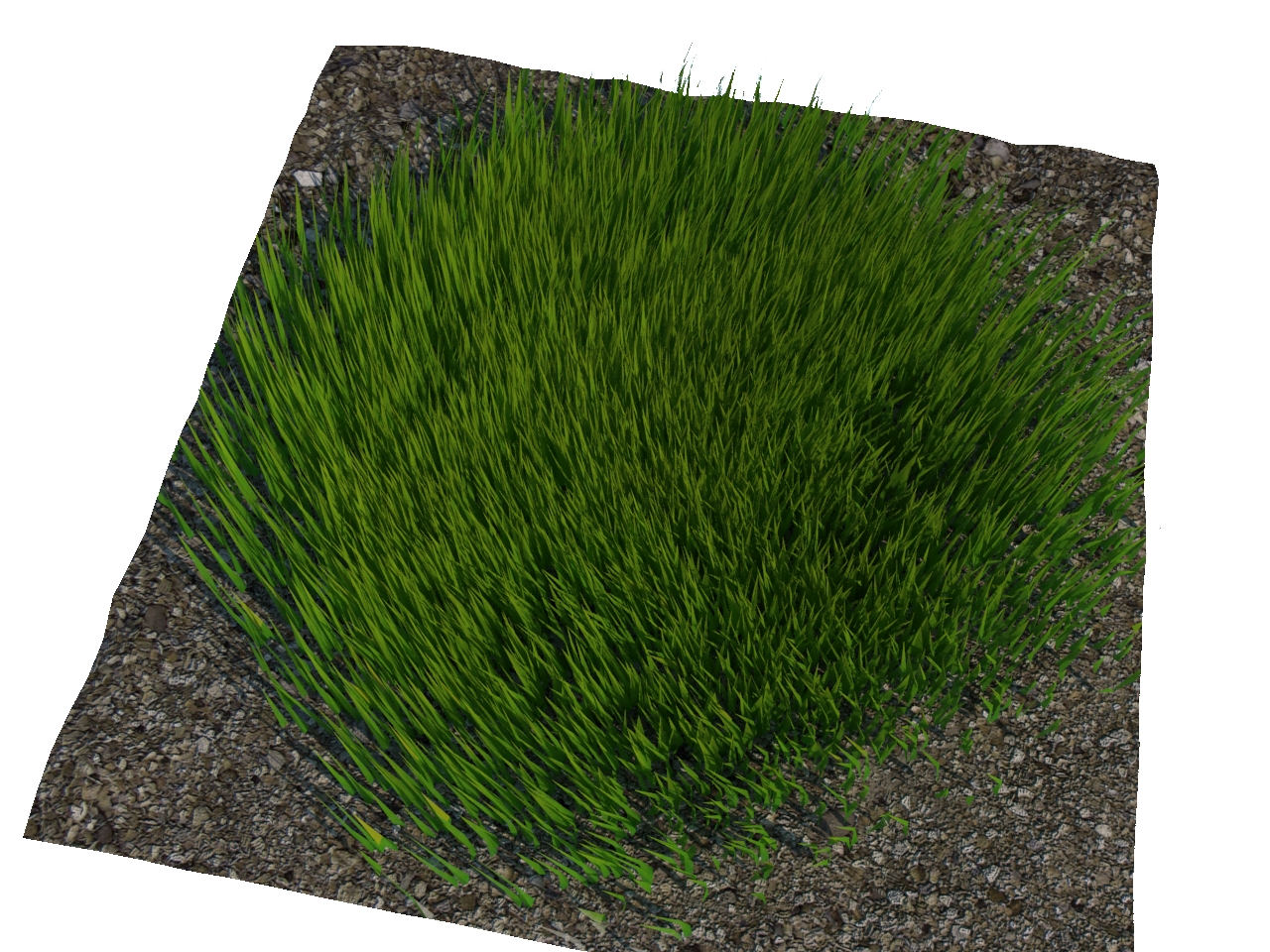 3D модели - Трава