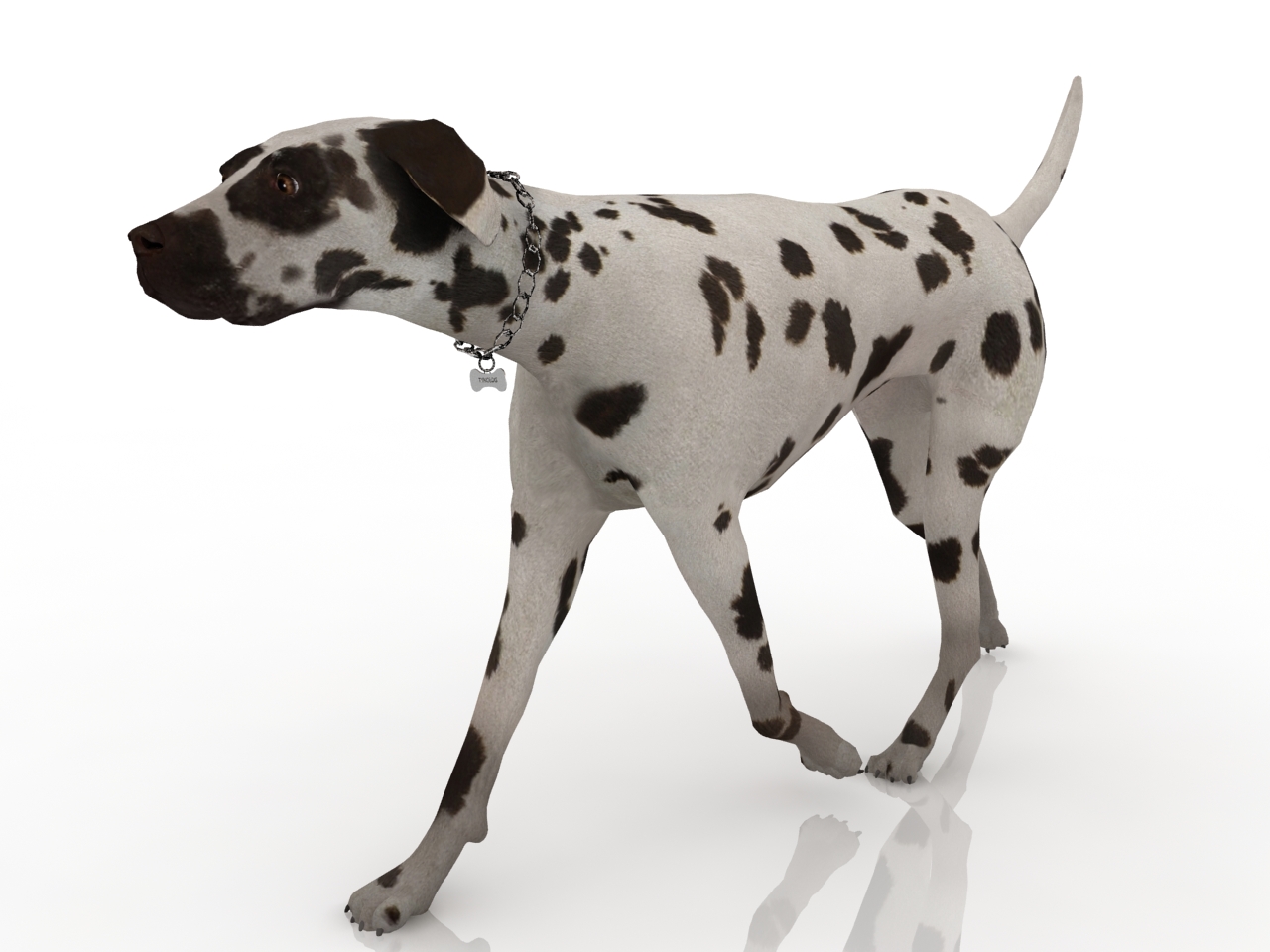 3D модели - Собака