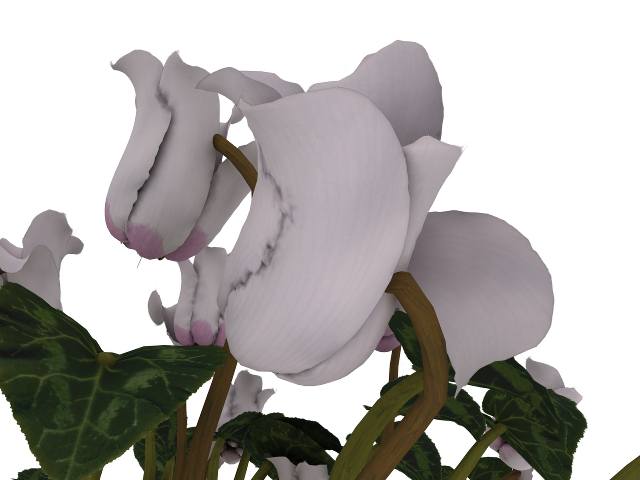 3d модель - Цветок