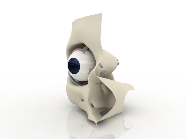3d модель - глаз