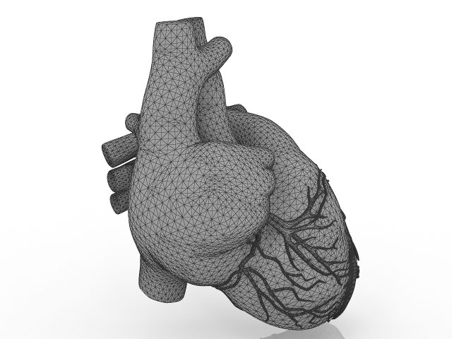 3d модель - сердце