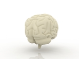 3d модель - мозг