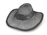 3d модель - Шляпа