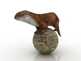 3d модель - Куница