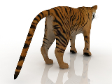 3d модель - Тигр