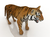 3d модель - Тигр