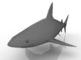 3d модель - Акула