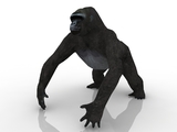 3d модель - Горилла