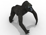3d модель - Горилла