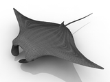 3d модель - Скат-манта