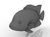 3d модель - Рыба
