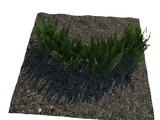 3d модель - Трава