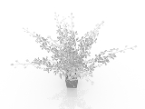 3d модель - Ваза