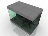 3d модель - Террариум
