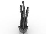 3d модель - Кактус