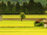 3d модель - Background поле