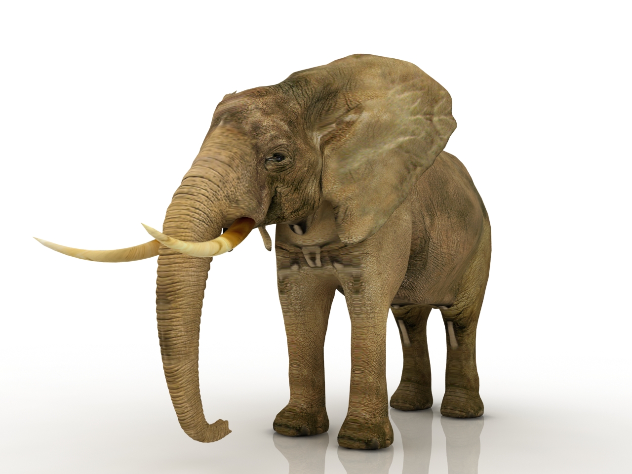 3D модели - Слон