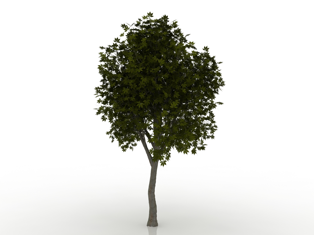 Unity trees. Дерево для Юнити. Деревья для Юнити 3д. Дерево 3д модель. 3d модель дерева.