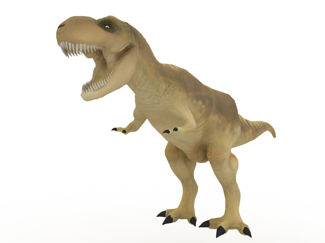 3D модели - Тираннозавр