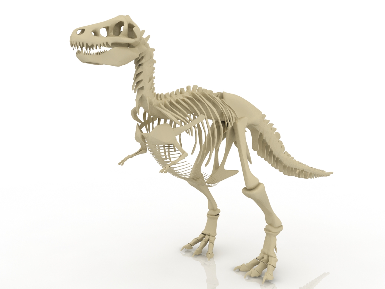 3D модели - Скелет тираннозавра