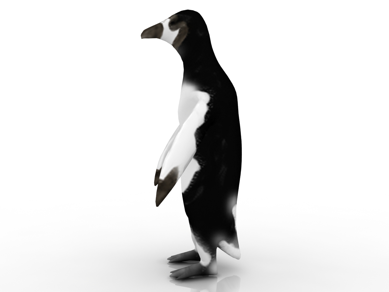 3D модели - Пингвин