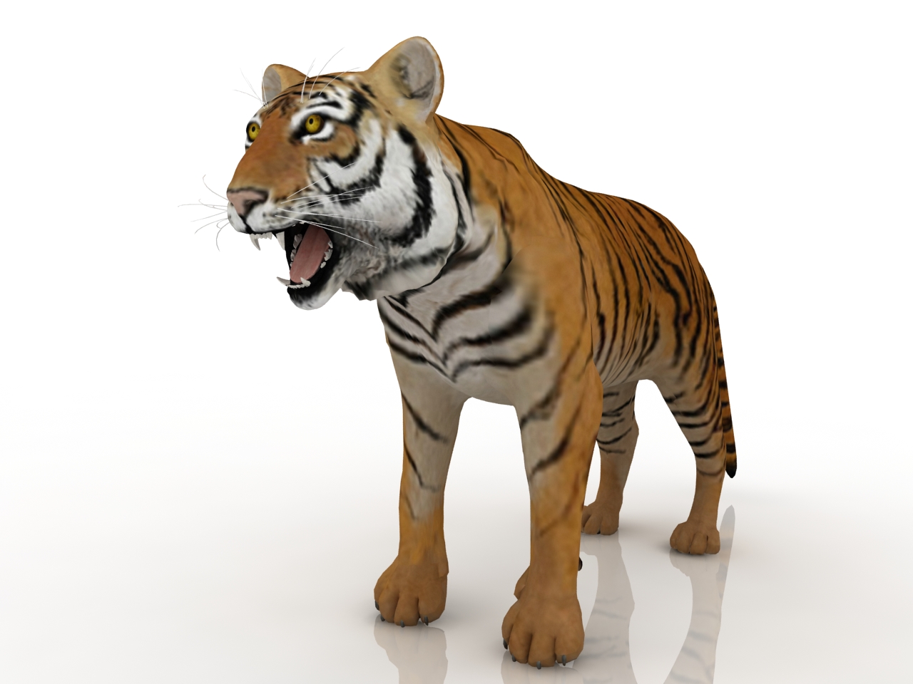 3D модели - Тигр