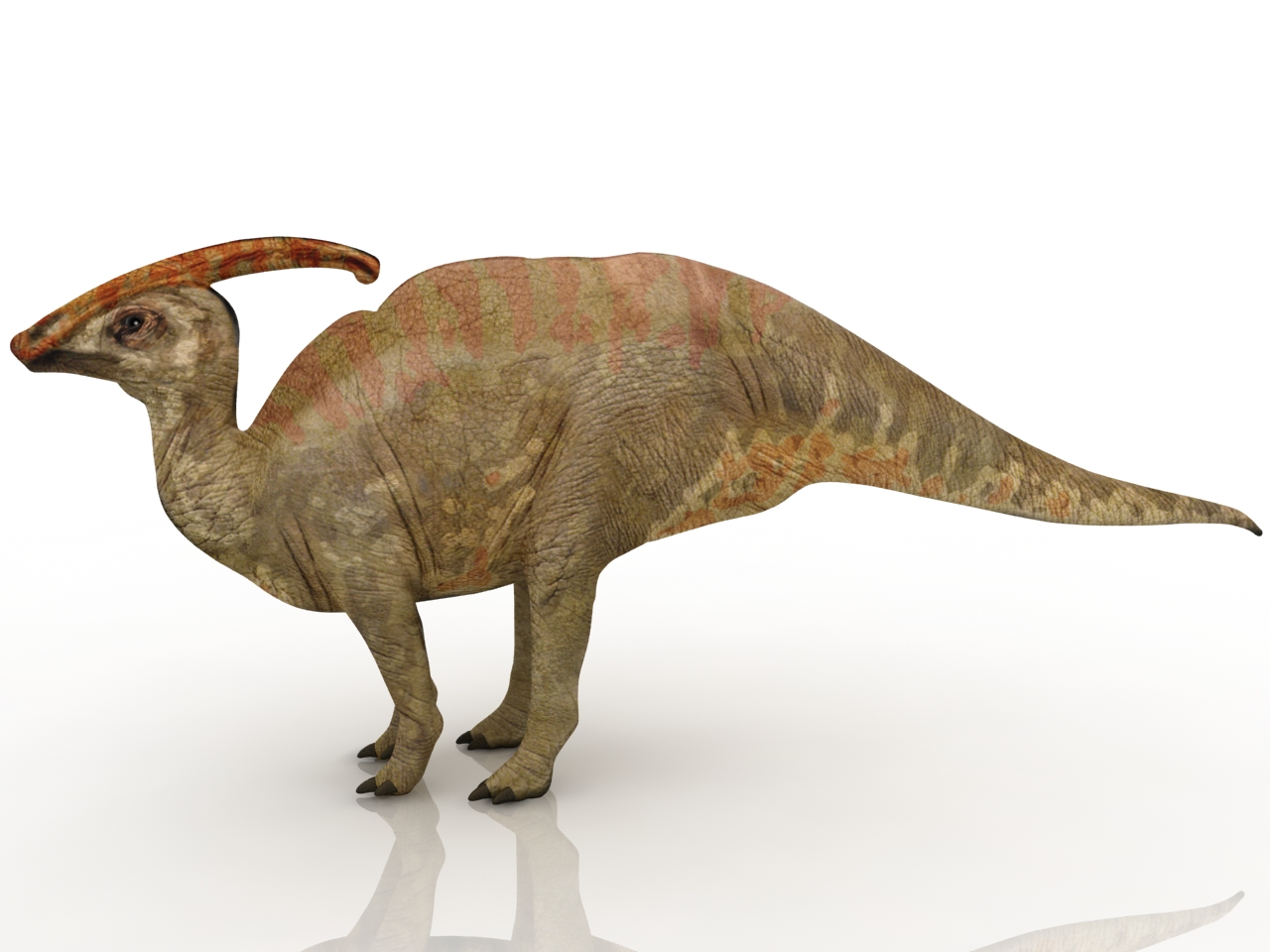 Модель динозавра большого размера T-Rex для парка