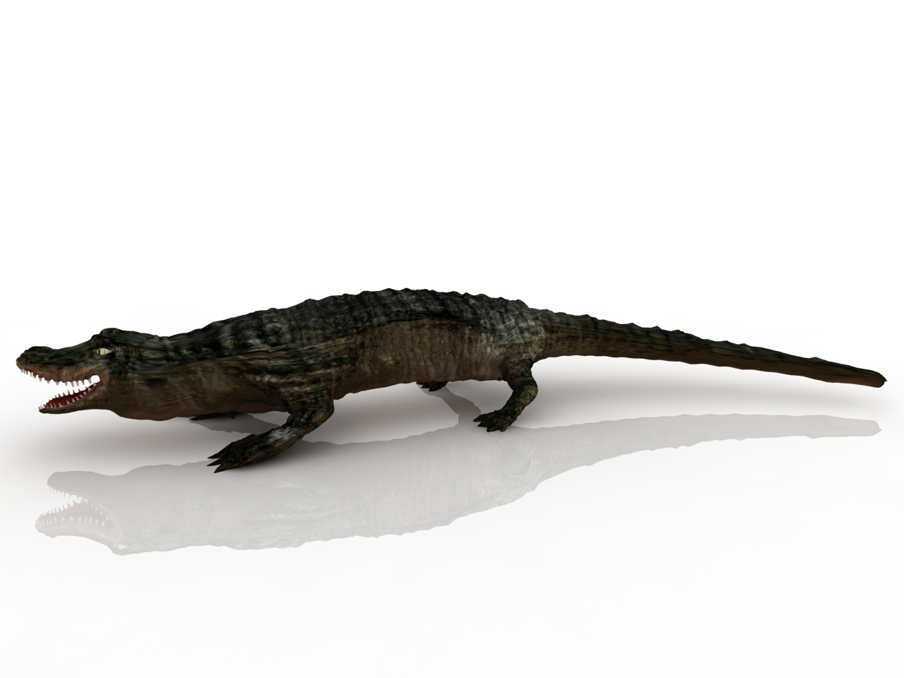 3D модели - Аллигатор