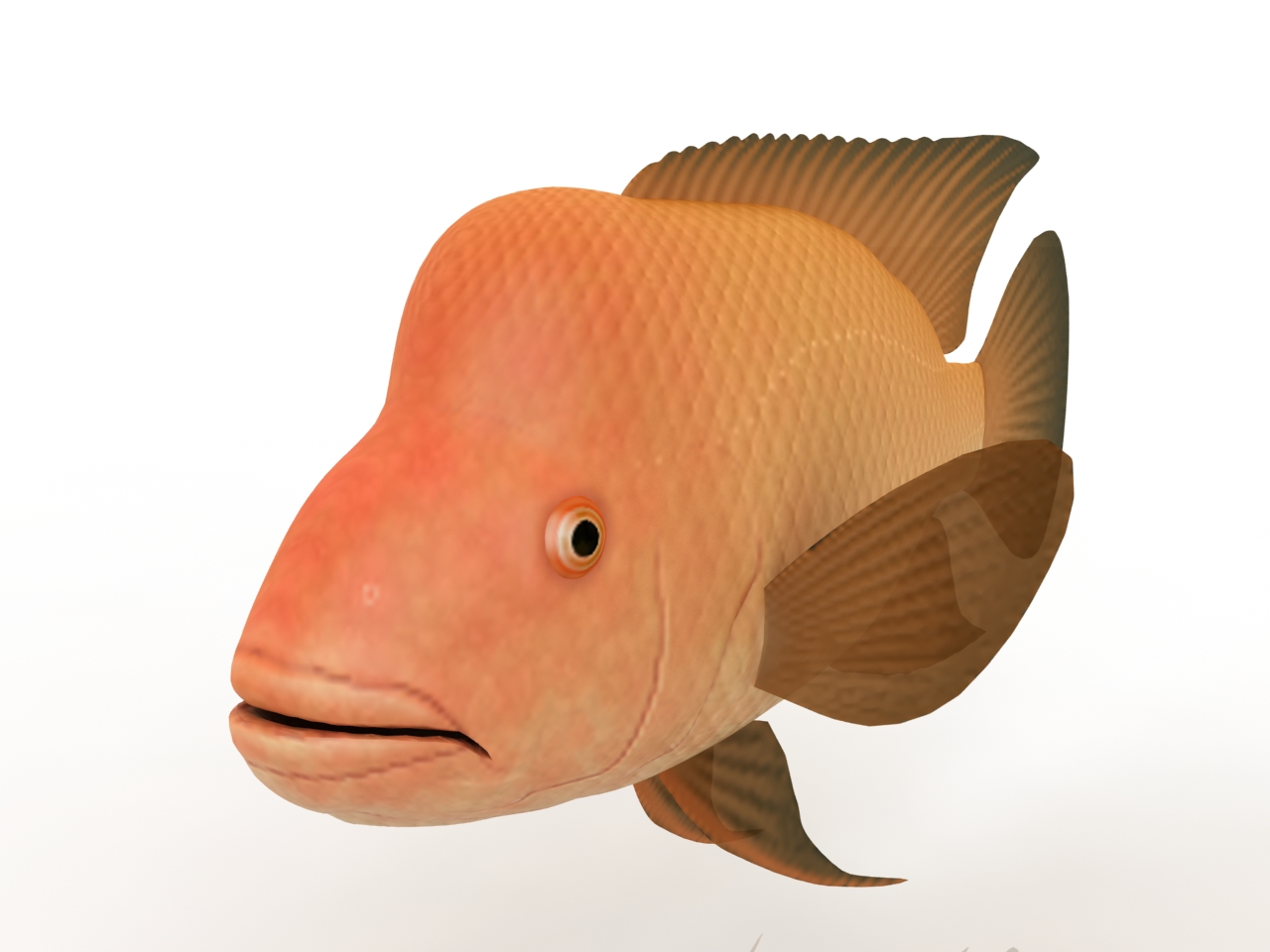 3 д рыбка. Рыбка 3д модель. Модель рыбки. Рыбы 3d. Рыба 3d модель.