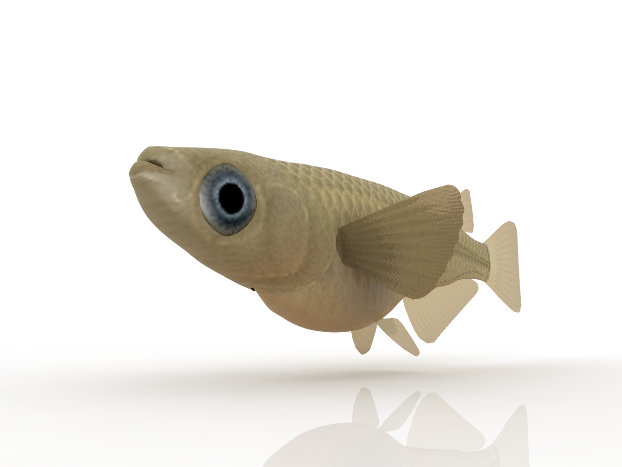 3D модели - Аквариумная рыбка