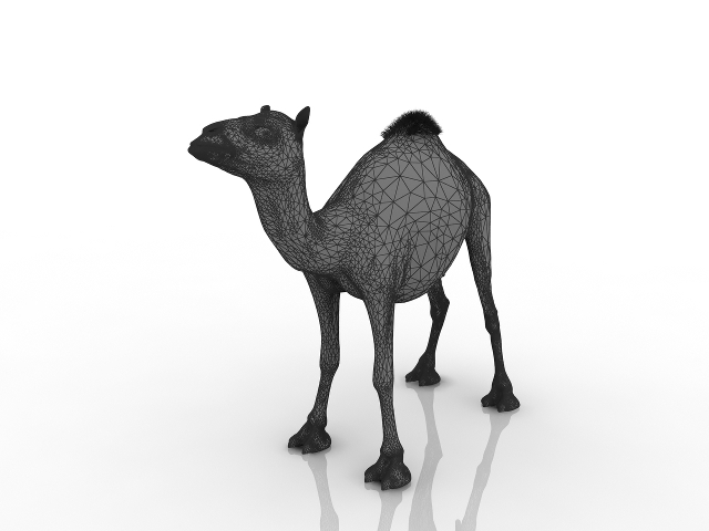 3d модель - Верблюд