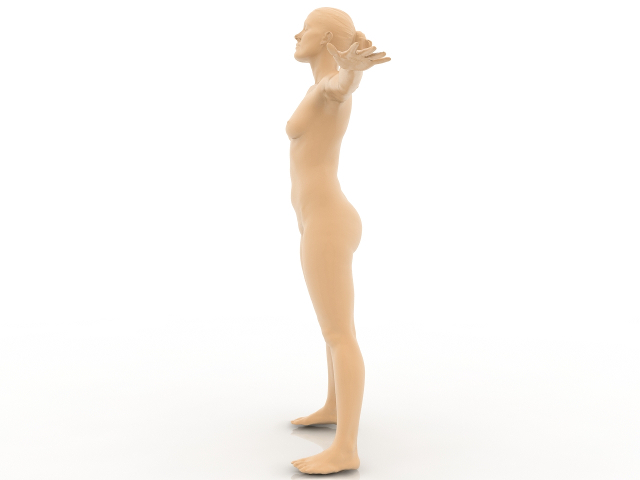 3d модель - Женская фигура