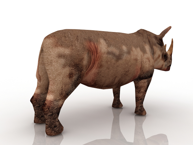 3d модель - Носорог