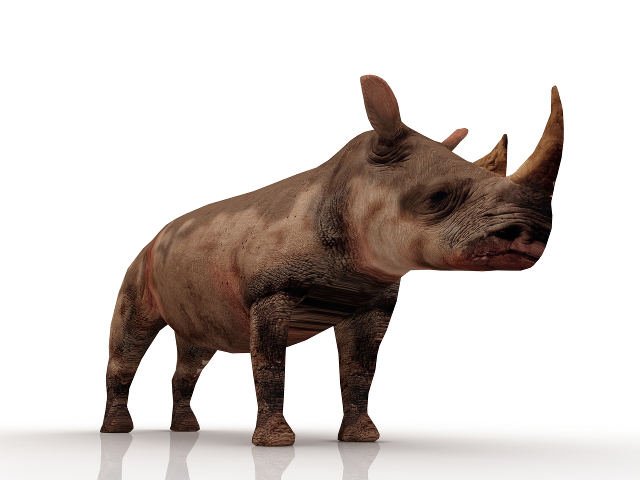 3d модель - Носорог