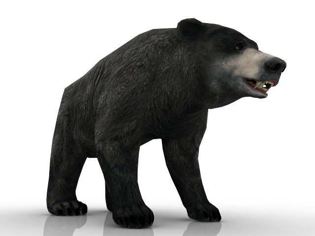 3d модель - Медведь