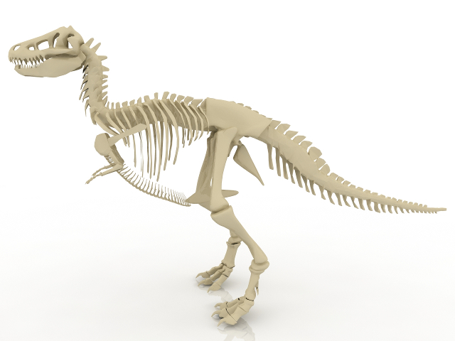 3d модель - Скелет тираннозавра