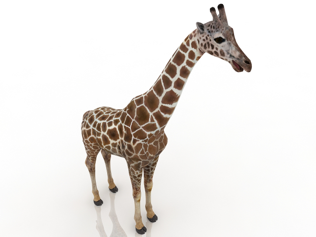 3d модель - Жираф