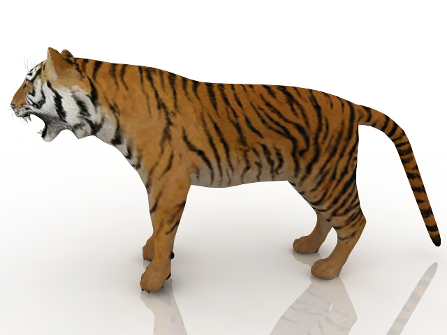 3d модель - Тигр