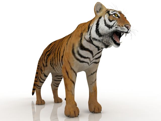 3d модель - Тигр