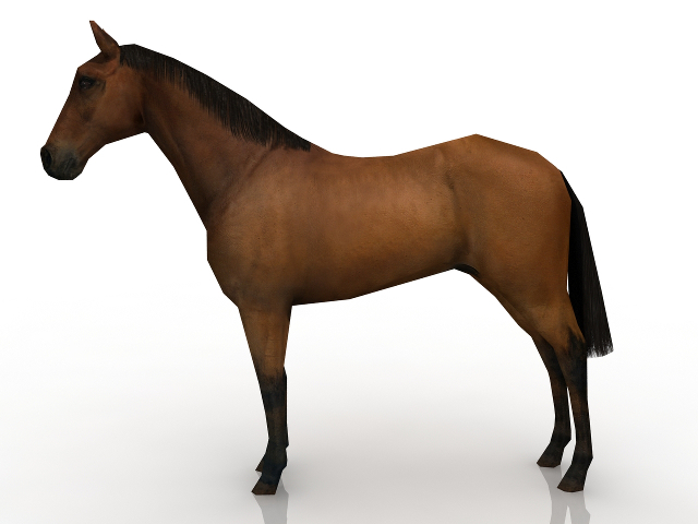 3d модель - Лошадь