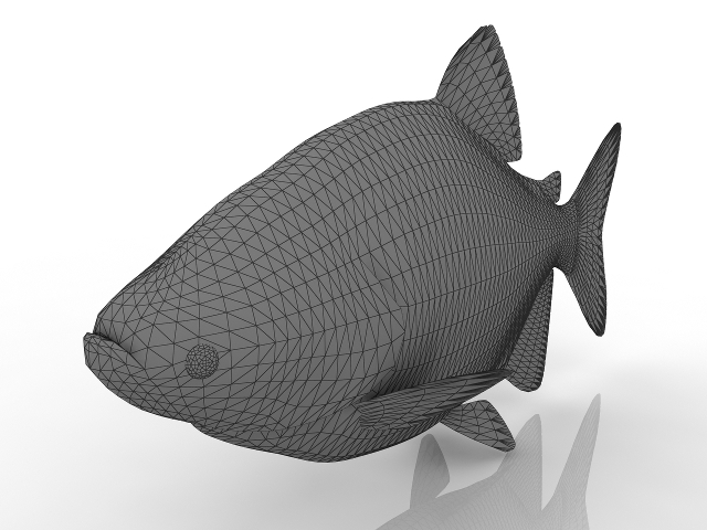 3d модель - Рыба