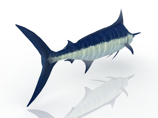 3d модель - Рыба-меч