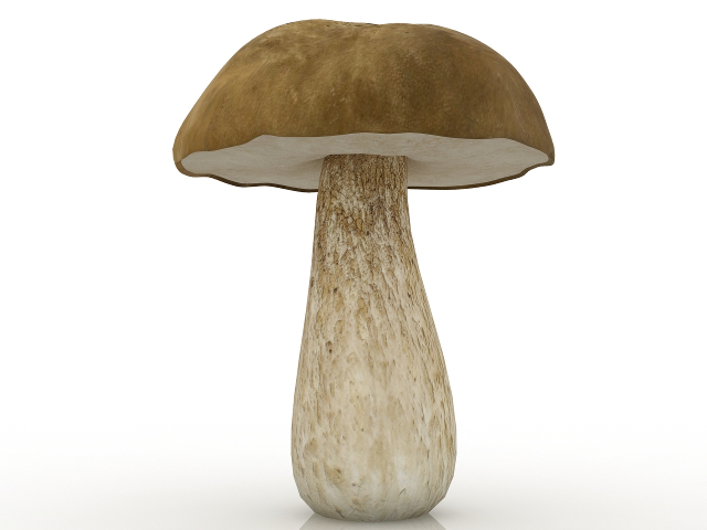 3d модель - Белый гриб