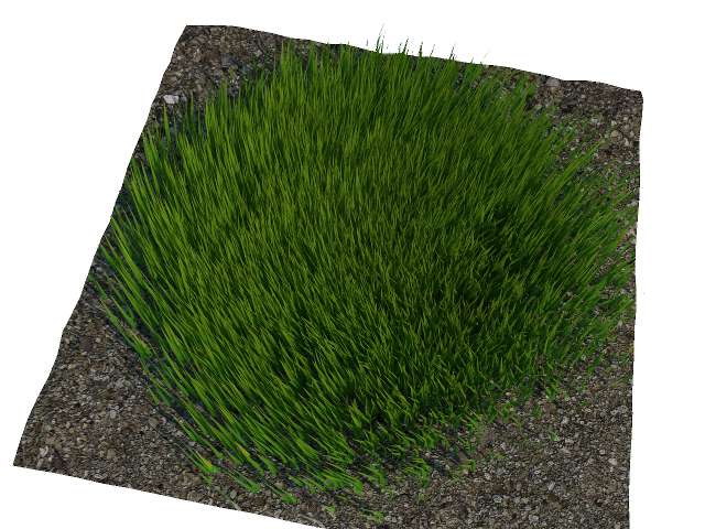 3d модель - Трава